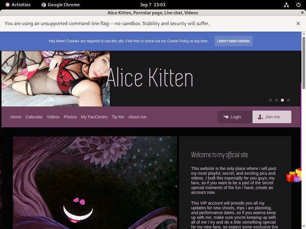 AliceKitten Free Account Password