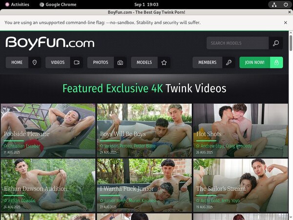 Boy Fun Discount Password