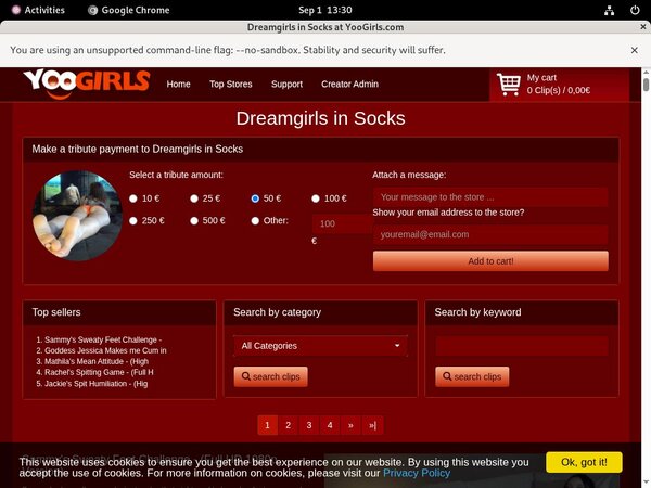 DreamgirlsInSocks Account Logins