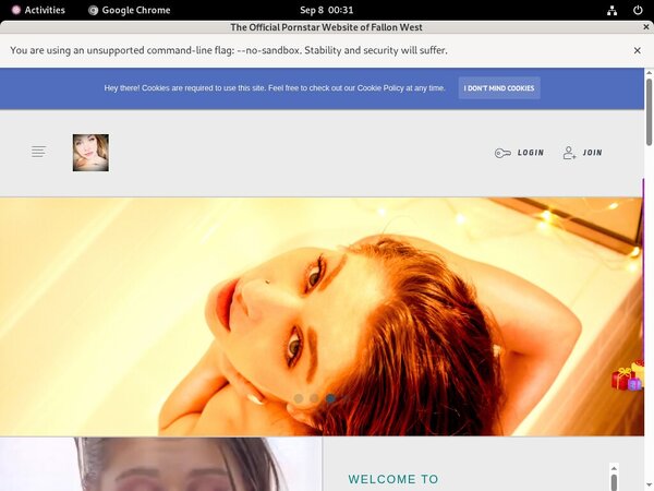 FallonWest Real Passwords