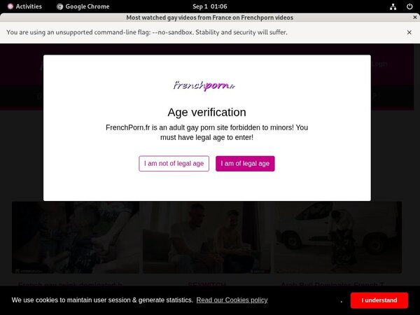 French Porn Gay Pw
