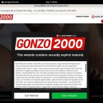 Gonzo2000.com 2017