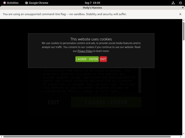 Hollys Hunnies Lingerie Hollys Hunnies Lingerie