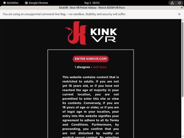 Kinkvr.com Purchase