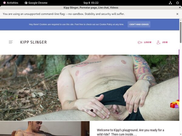 Kippslingerxxx.modelcentro.com Reduced Rate