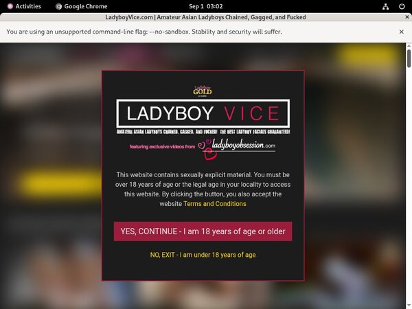 Ladyboy Vice Promo Id
