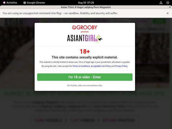 Ladyboy-ladyboy.com ??