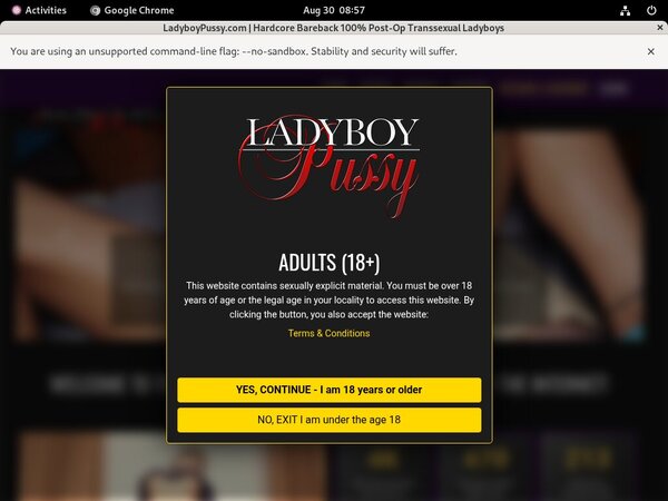 Ladyboypussy.com Accounts Free