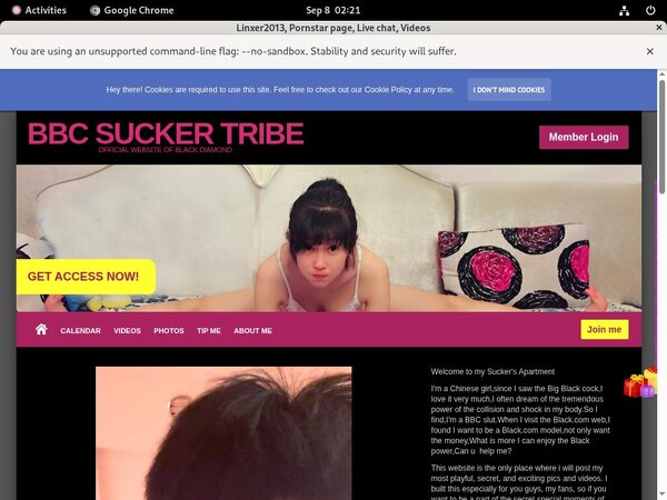 Linxer2013.modelcentro.com With AOL Account Linxer2013.modelcentro.com With AOL Account