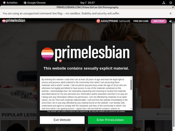New Prime Lesbians