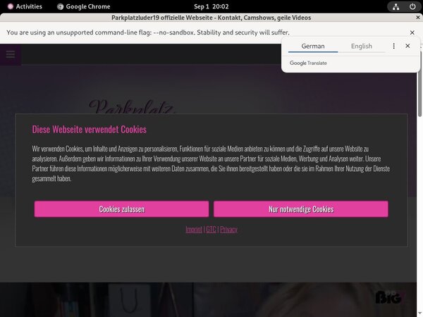Parkplatzluder19 Websites