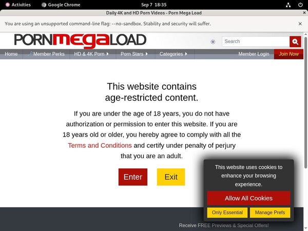 Passwords Porn Mega Load