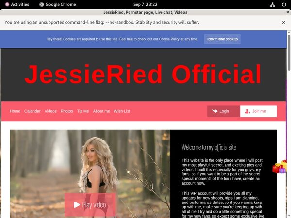 Paypal JessieRied Com