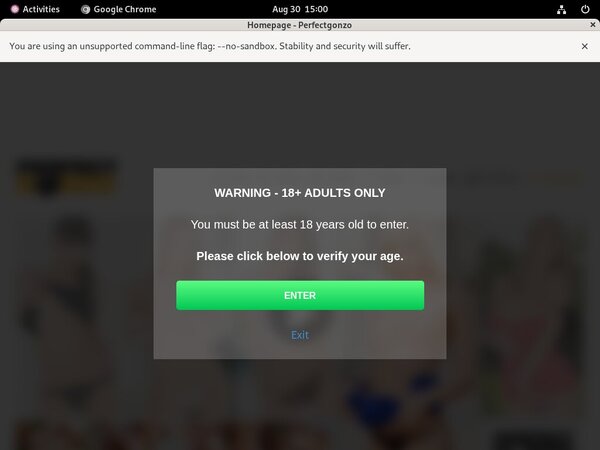 Perfectgonzo.com Porn Login