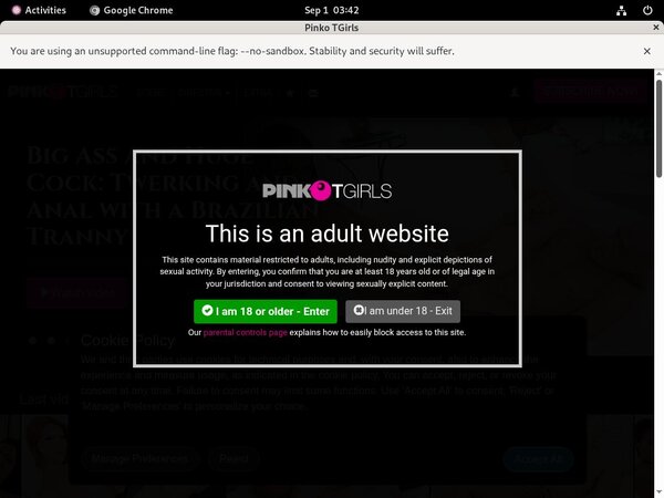 PinkO TGirls Live Cams PinkO TGirls Live Cams