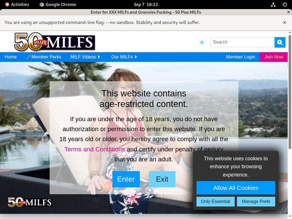 Premium 50 Plus MILFs Site Rip