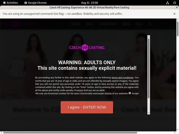 Premium Accounts Czechvrcasting.com