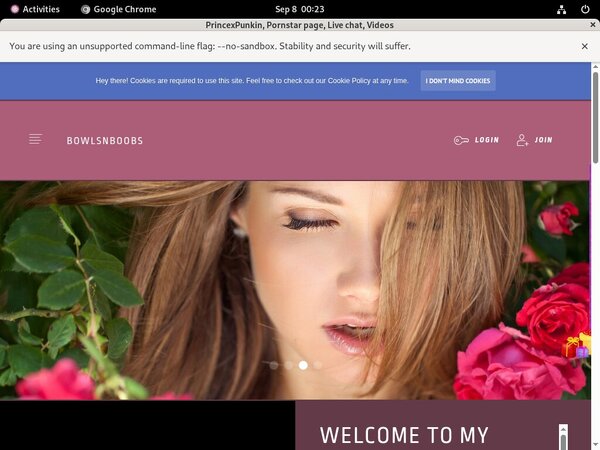PrincexPunkin Account And Password
