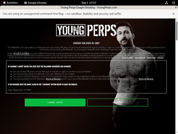 Promo Codes Youngperps