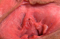 Save On Gapemypussy.com Trial s0