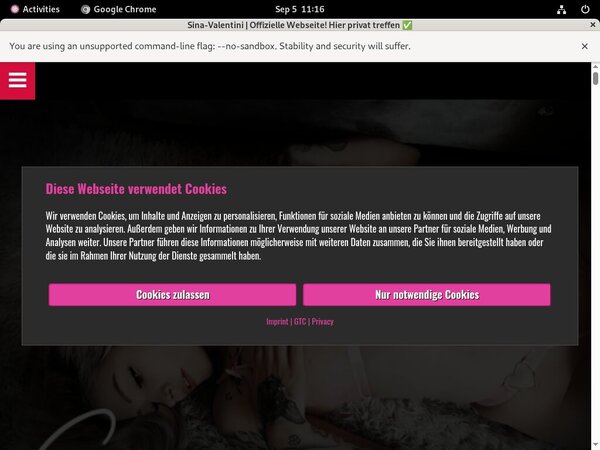 Sina Valentini Porn Site