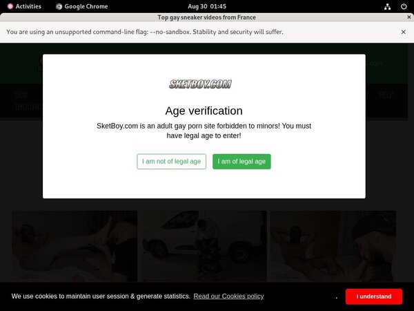 [Image: Sket-Boy-Free-Logins.jpg]