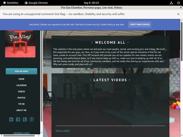 TheGasChamber With Online Check