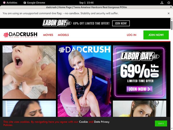 What Is Dadcrush
