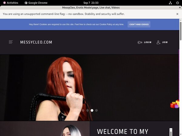 MessyCleo Paypal Purchase