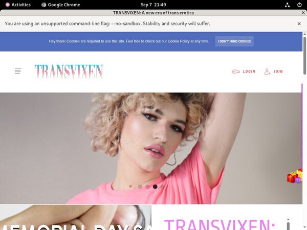 Transvixen Pass Word