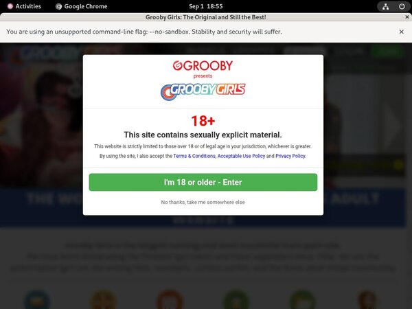 Download Groobygirls.com