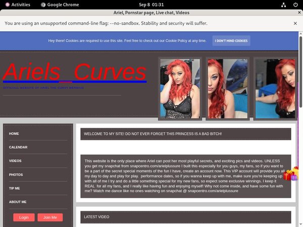 Ariel User And Pass